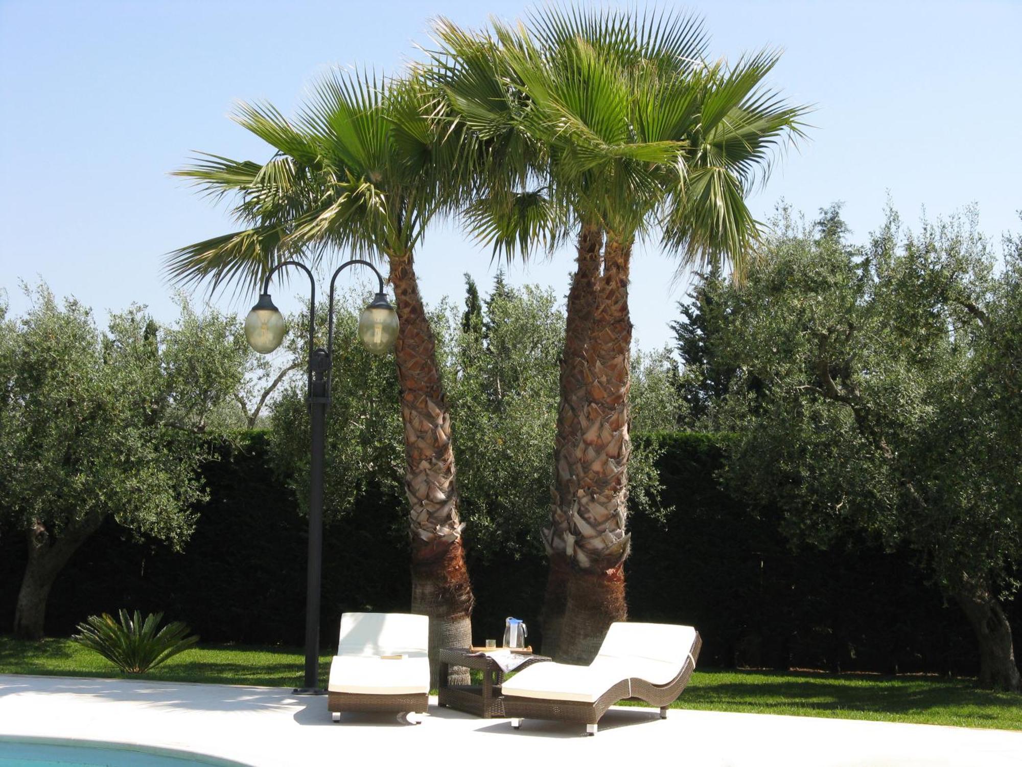 מאלייה B&B Villa Vittoria מראה חיצוני תמונה